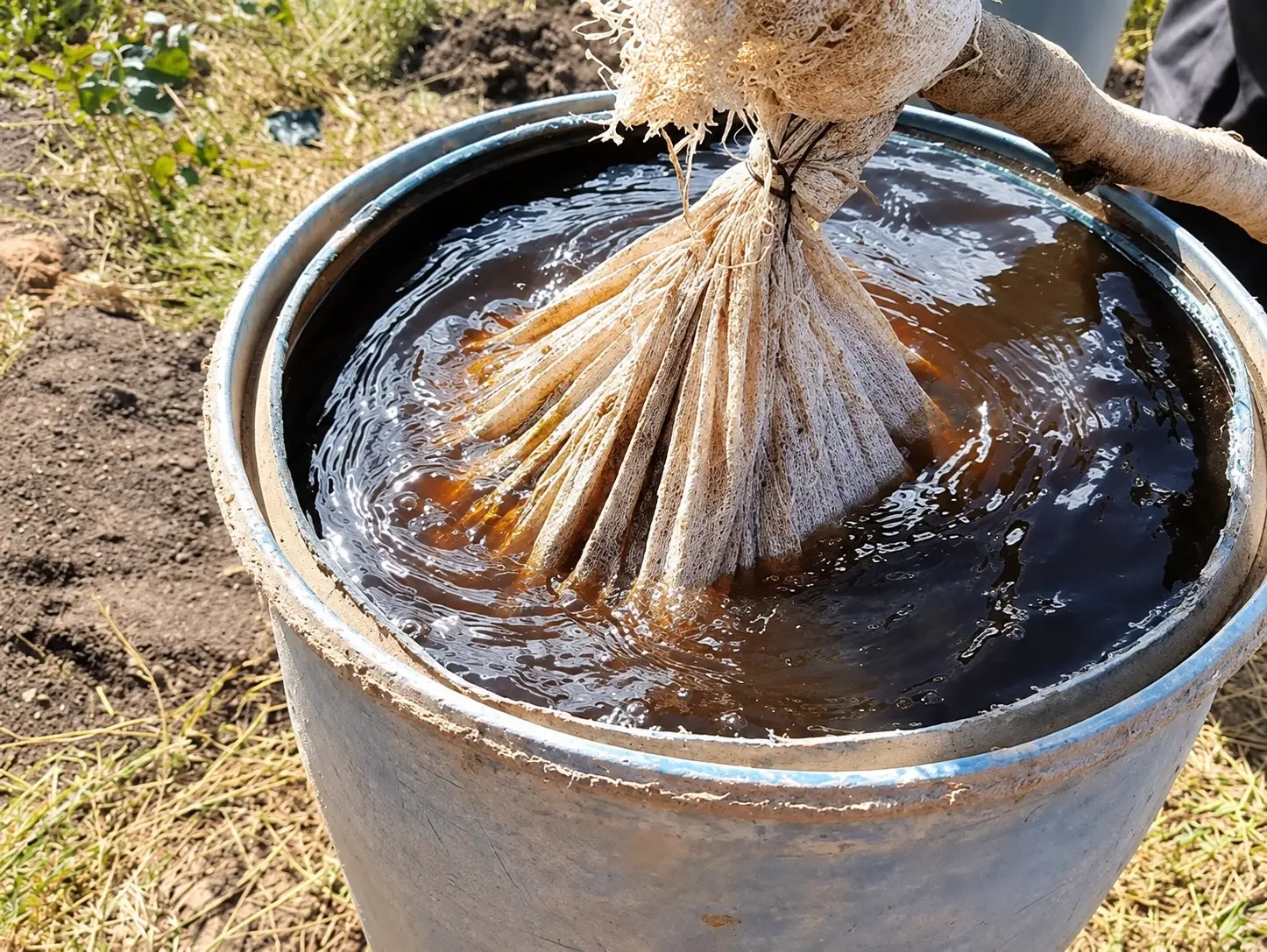 organic farming in south africa