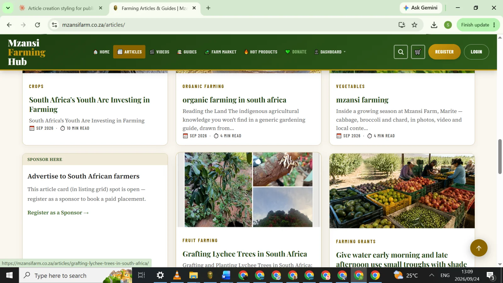 mzansifarm hub