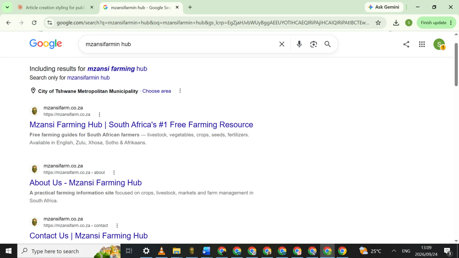 mzansifarm hub