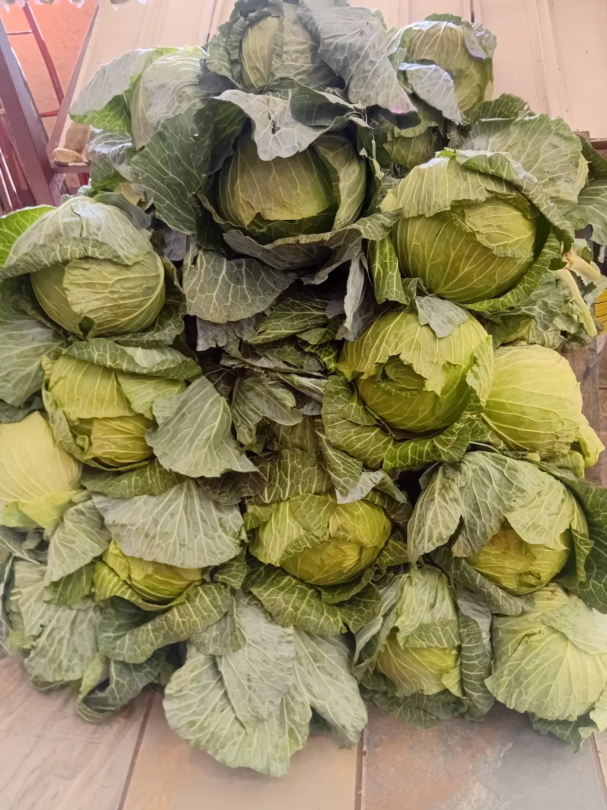 mzansi farming