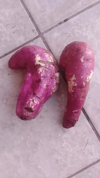 Sweet potatoes